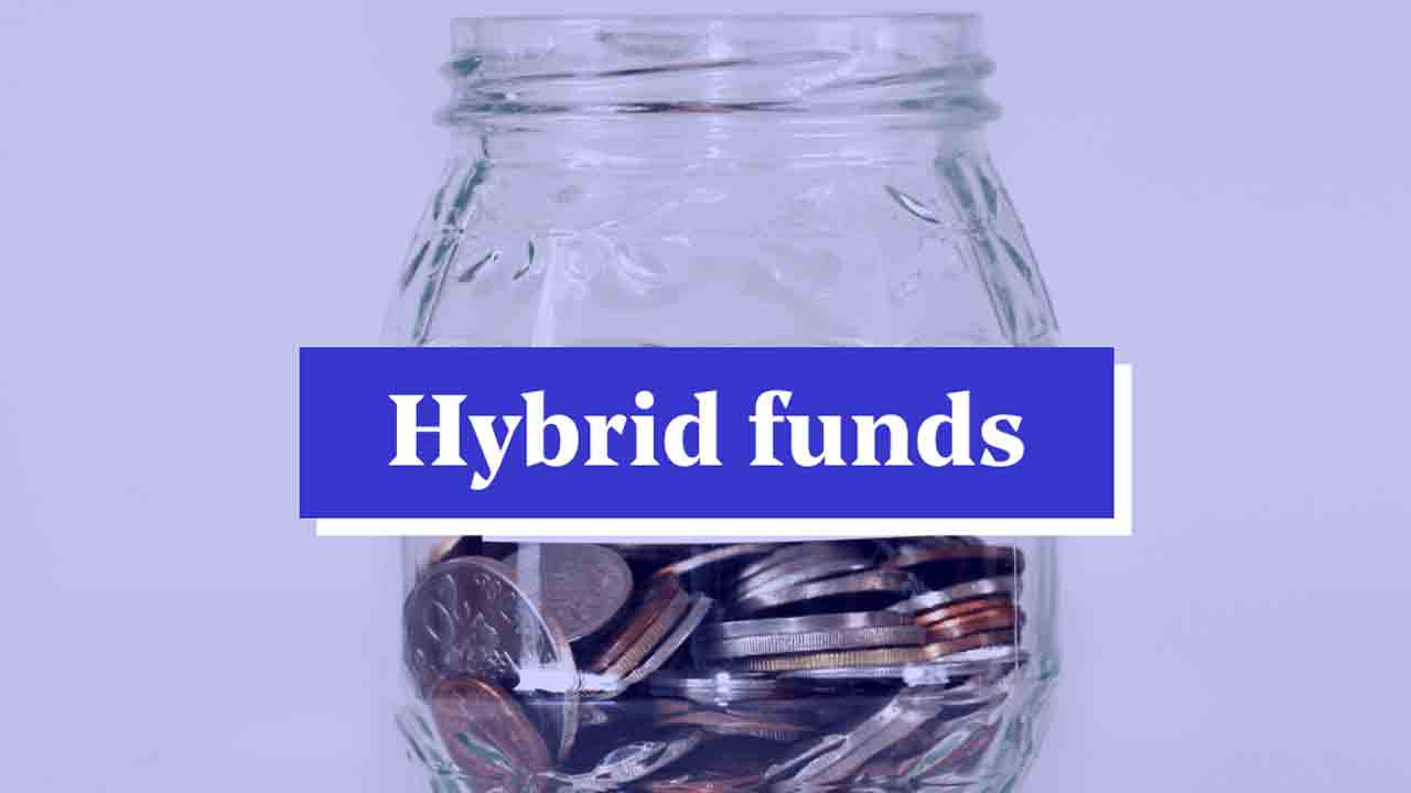 Hybrid Funds | హైబ్రిడ్ ఫండ్స్ అంటే తెలుసా?.. మదుపరులకు అధిక రాబడులు నిజమేనా?