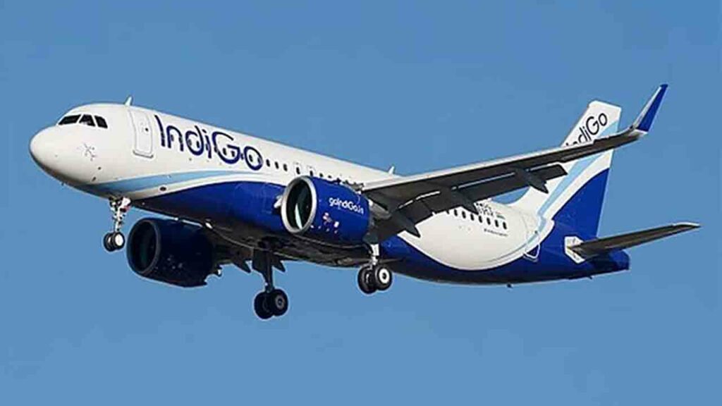 Indigo Flight