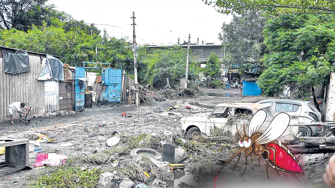 ముంపు ప్రాంతాల్లో అంటువ్యాధుల ముప్పు