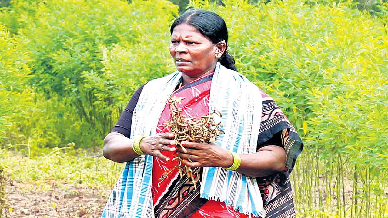 Jadala Chinna