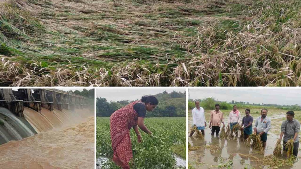 Joint Khammam District