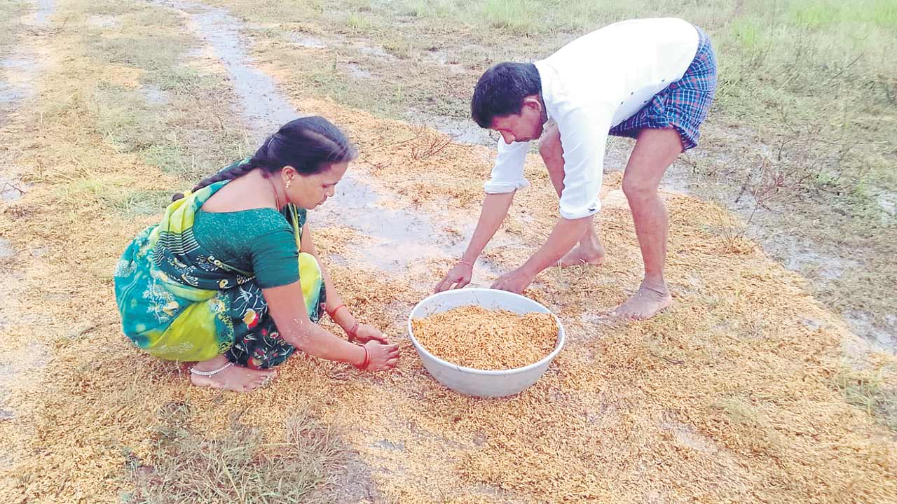 అన్నదాతకు గుండెకోత