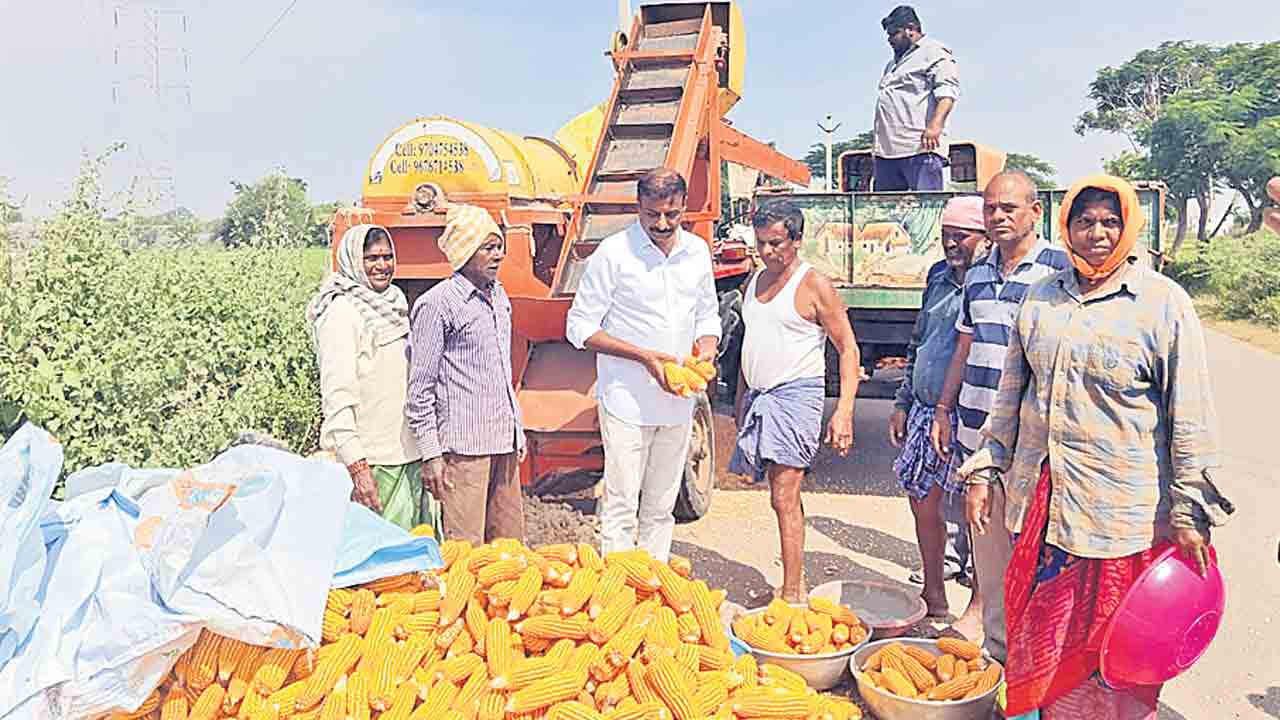 ప్రభుత్వం మక్కలు కొనుగోలు చేయాలి