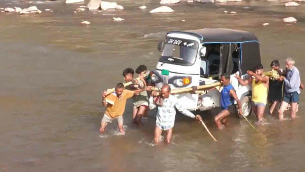 Locals Carry Auto