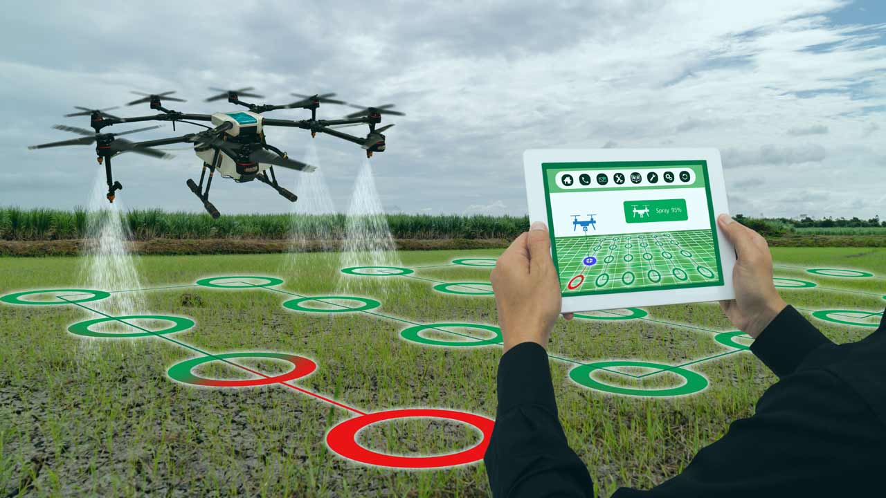 పంటల లెక్క తేలేనా..?