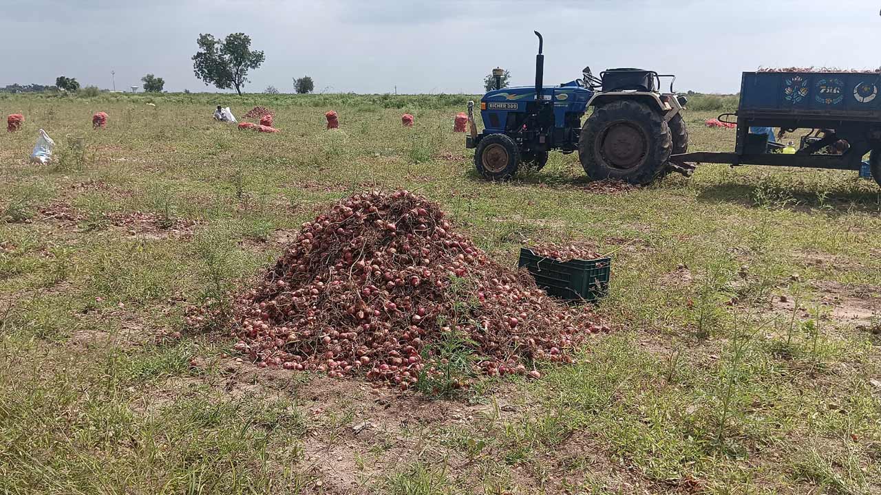 ఉల్లికిపాటు