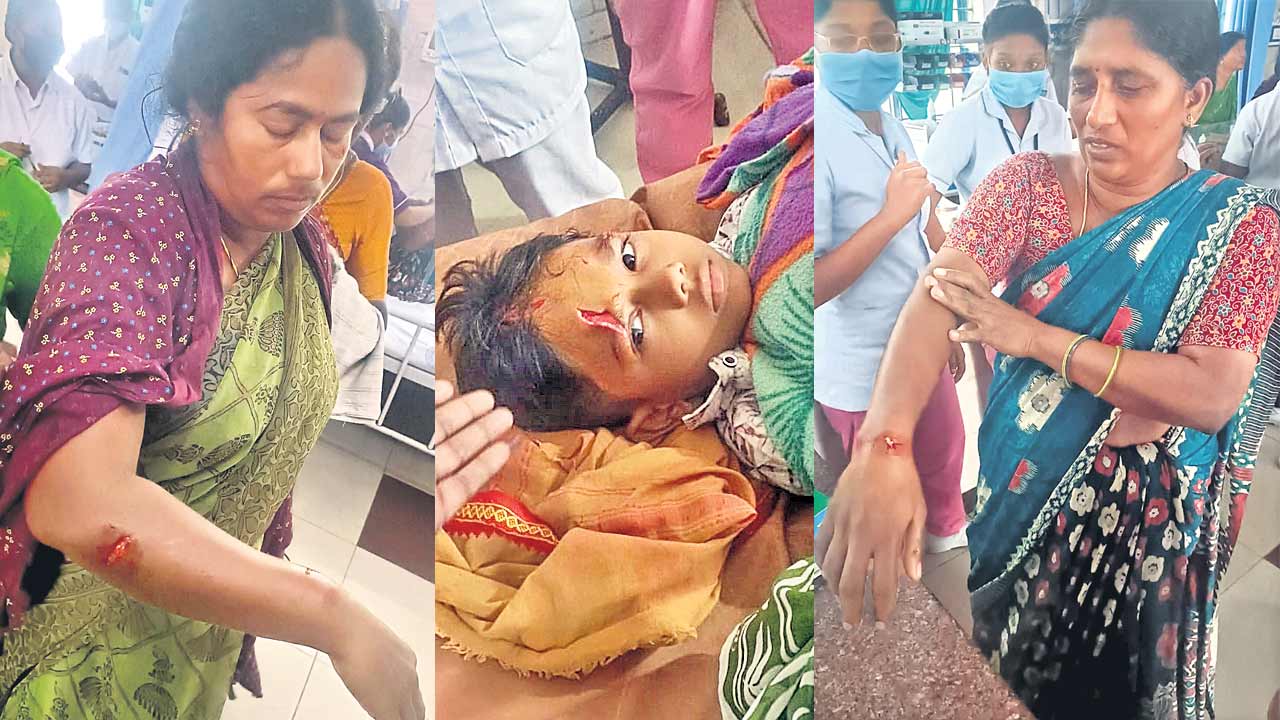 భౌబోయ్‌..!