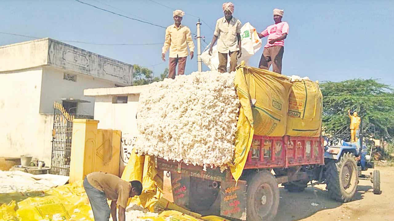 తెల్ల బంగారం రైతు వెలవెల!
