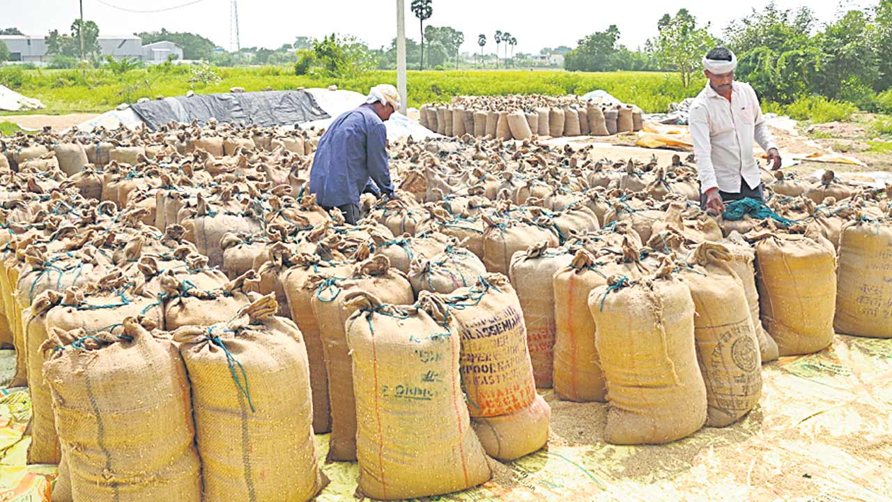 సన్నాలు కొనరా?
