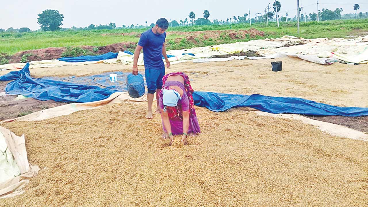 నిండా ముంచిన మొంథా!