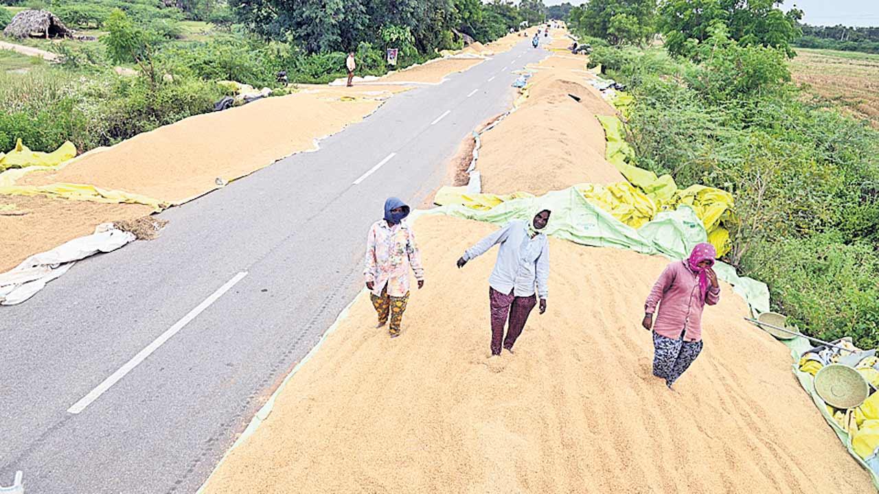 మొంథా దెబ్బతో.. రైతుల విలవిల