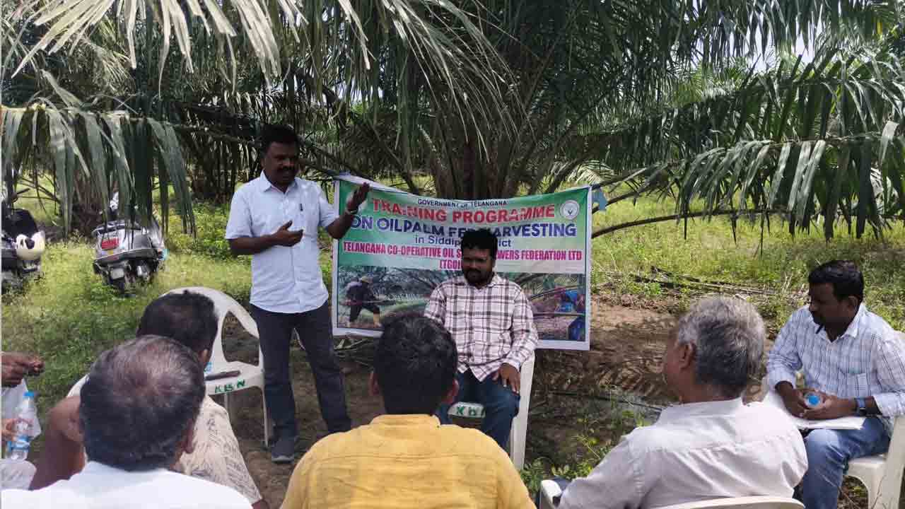 Oil palm cultivation | ఆయిల్ పామ్ సాగుపై రైతుల అవగాహన సదస్సు