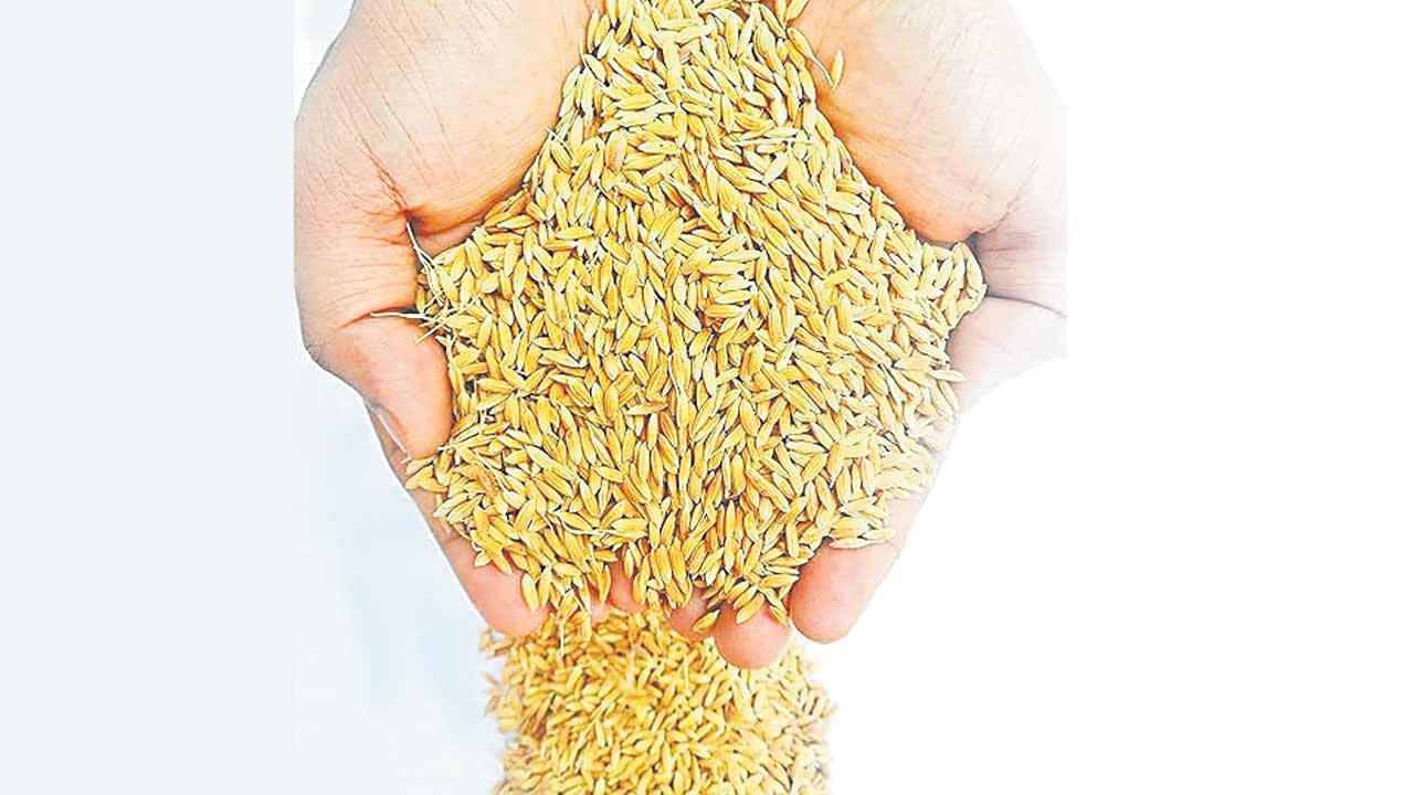 పాత బోనస్‌కే దిక్కులేదు..మరి కొత్తది?