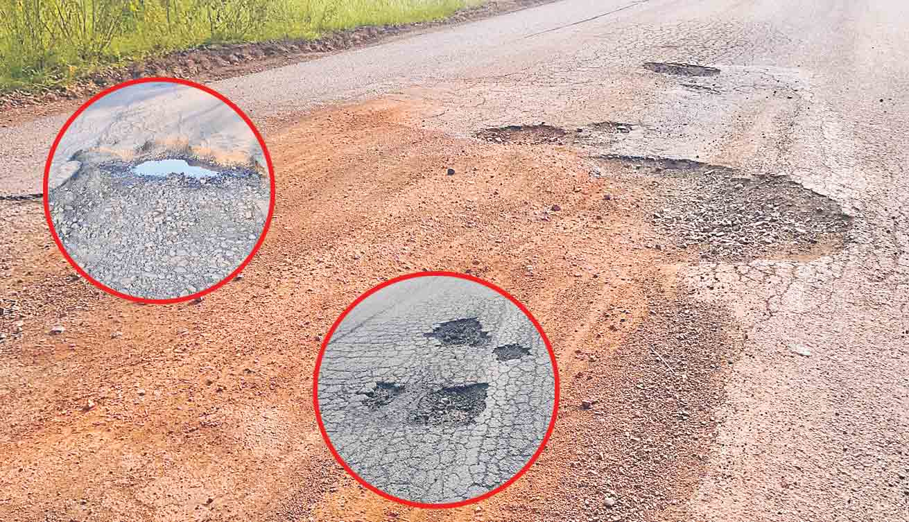 గుంతల రోడ్లపై ప్రయాణం చింత