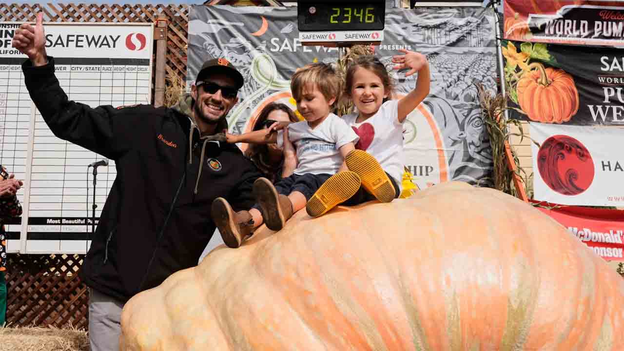 Pumpkin | కూష్మాండం @ 1,064 కిలోలు.. విజేతగా నిలిచిన ఇంజినీర్‌