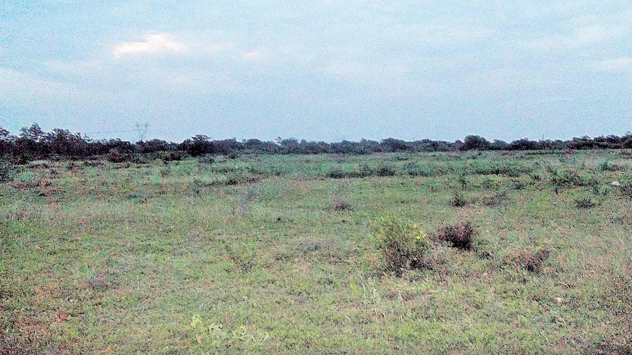 లెక్క తేలేదెప్పుడు..?