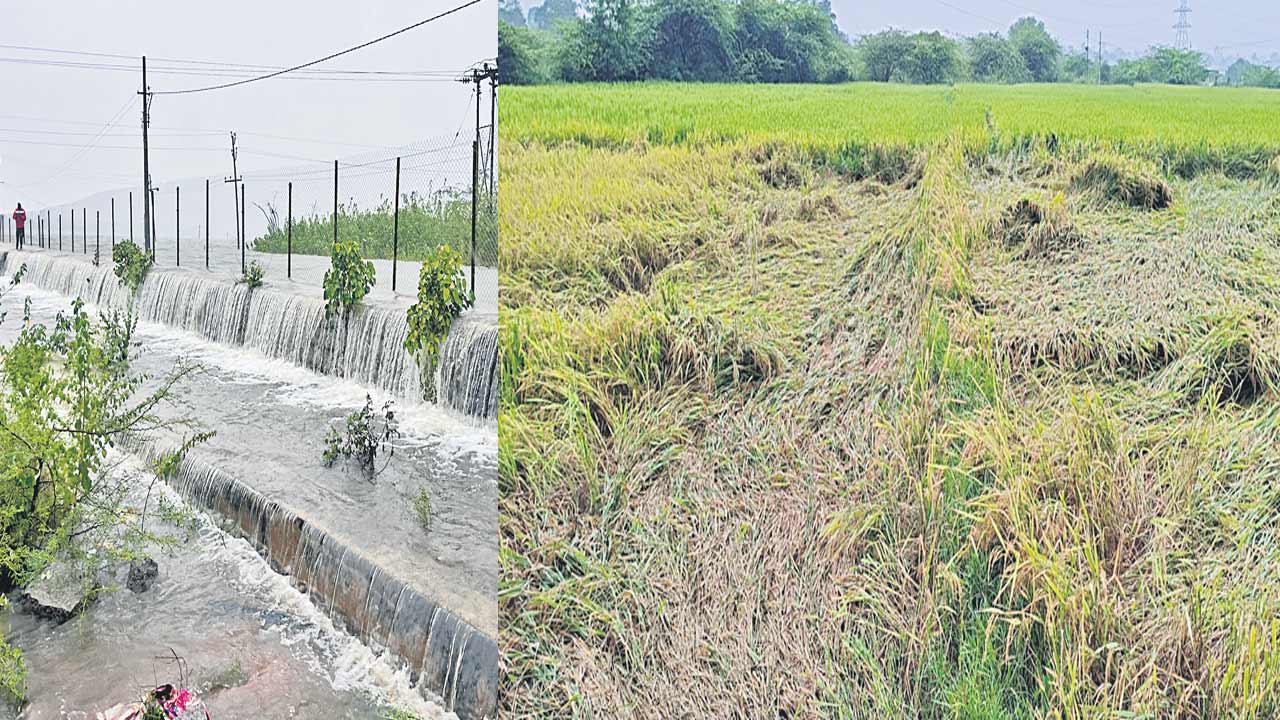 మొంథా ముంచెత్తింది