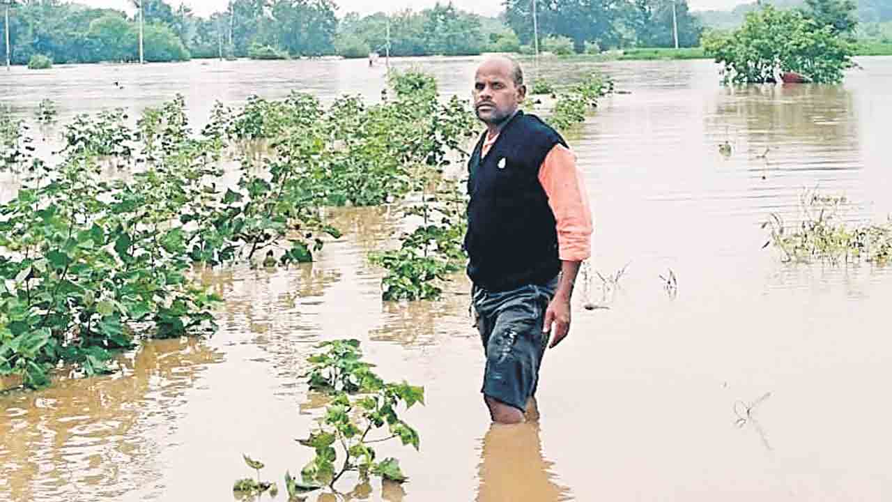 పంట నష్టం అపారం