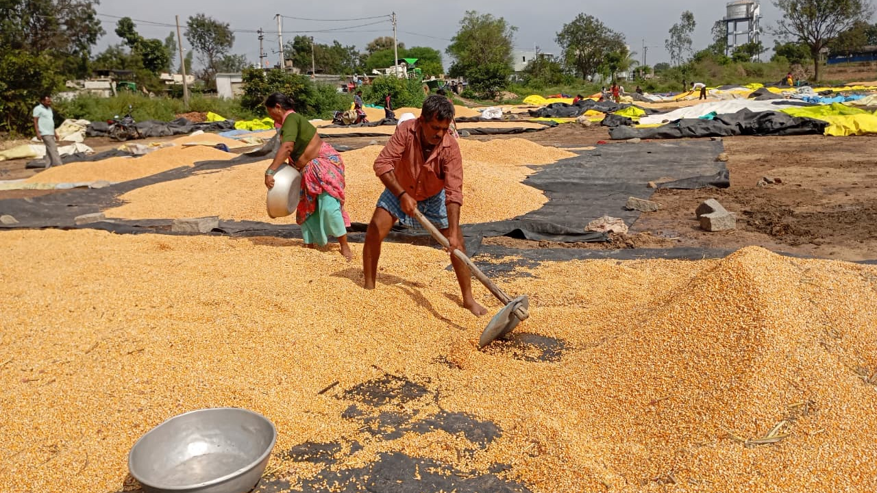 Rayapol | చేతికి వచ్చిన పంట నీళ్ల పాలు.. రైతన్నను ముంచిన మొంథా తుఫాన్