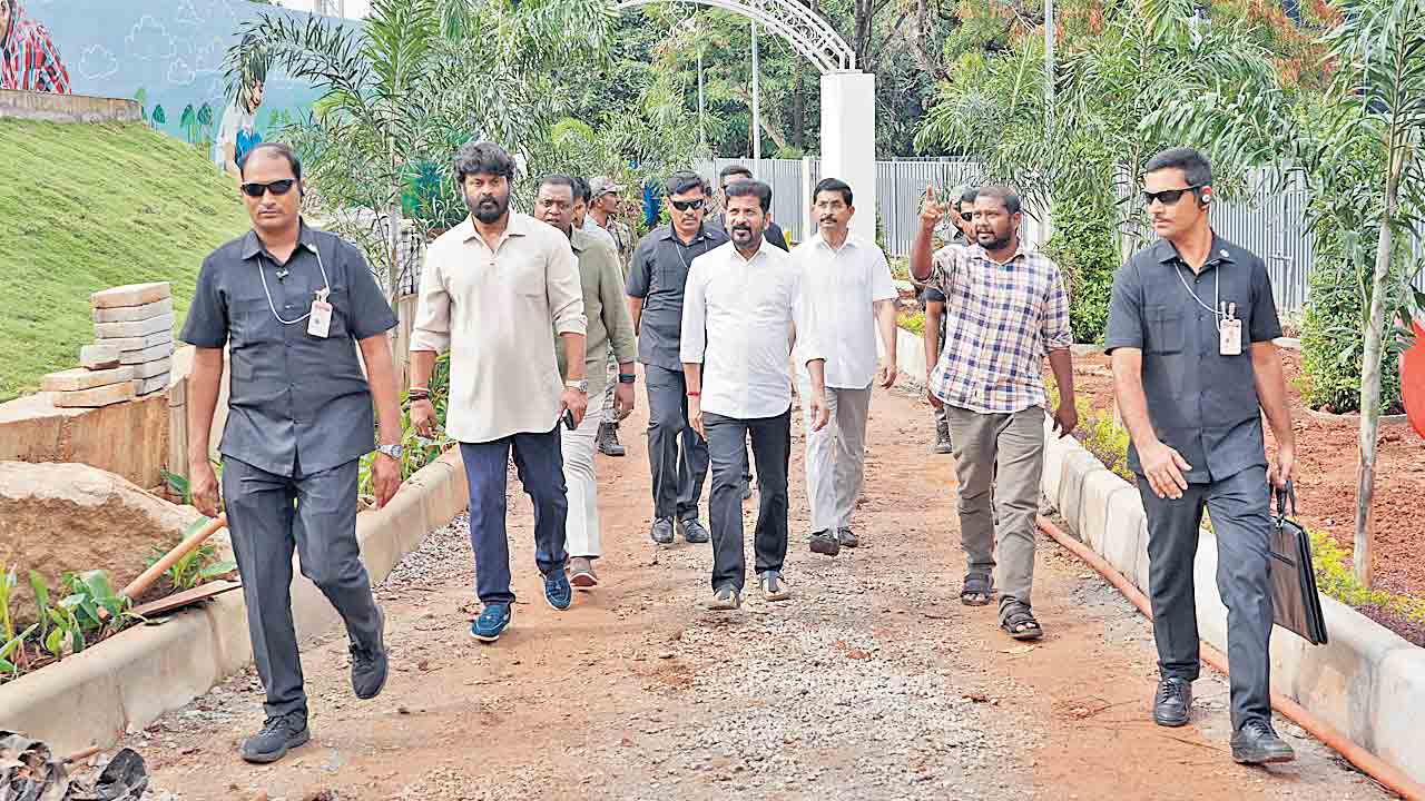 పార్క్ పనుల పరిశీలనలో సీఎం