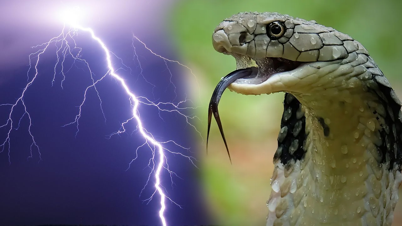 NCRB Report | ప్ర‌కృతి విప‌త్తుల‌తో 6444 మంది మృత్యువాత‌..! ఆందోళ‌న క‌లిగిస్తున్న పాముకాట్లు..!