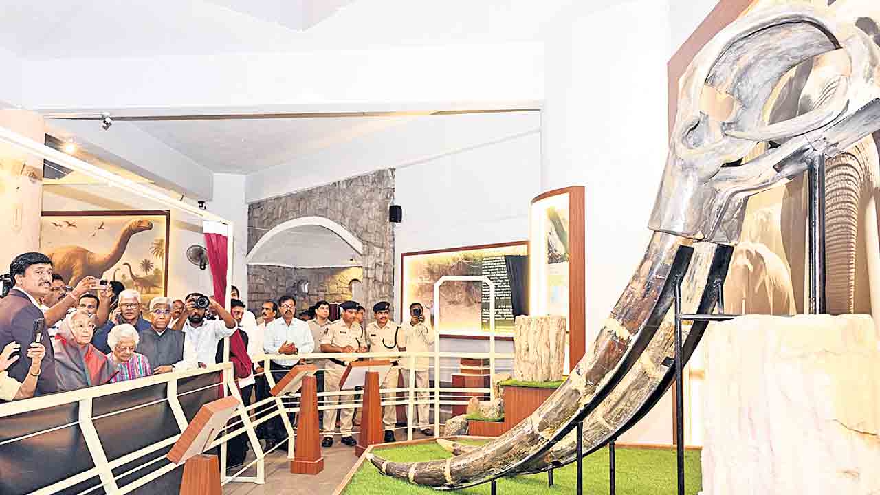 బిర్లా సైన్స్‌ మ్యూజియంలో స్టెగోడాన్‌ ఏనుగు దంతాలు