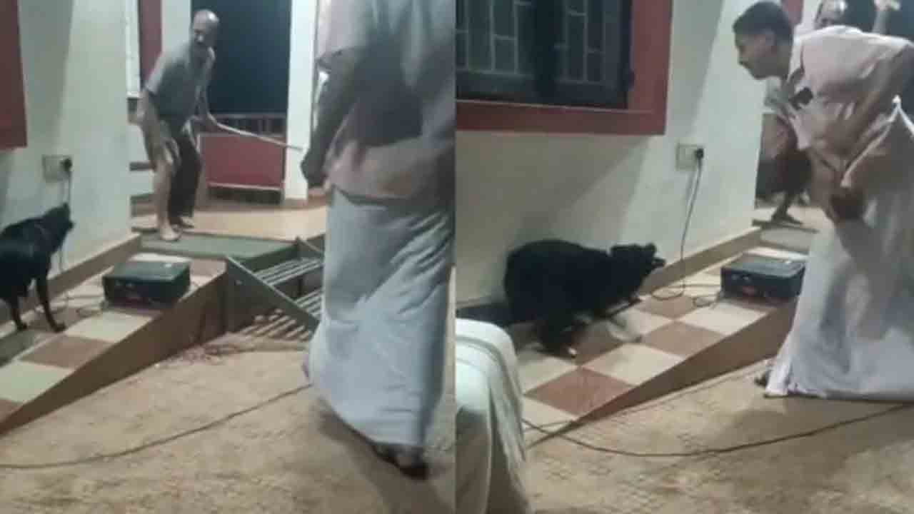 Watch: కుక్కల బెడదపై వీధి నాటకం.. ఆర్టిస్ట్ను కరిచిన వీధి కుక్క