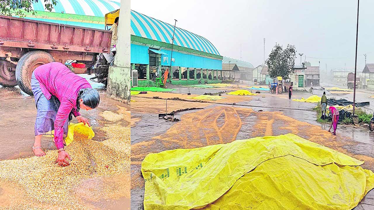 చెడగొట్టు వాన..