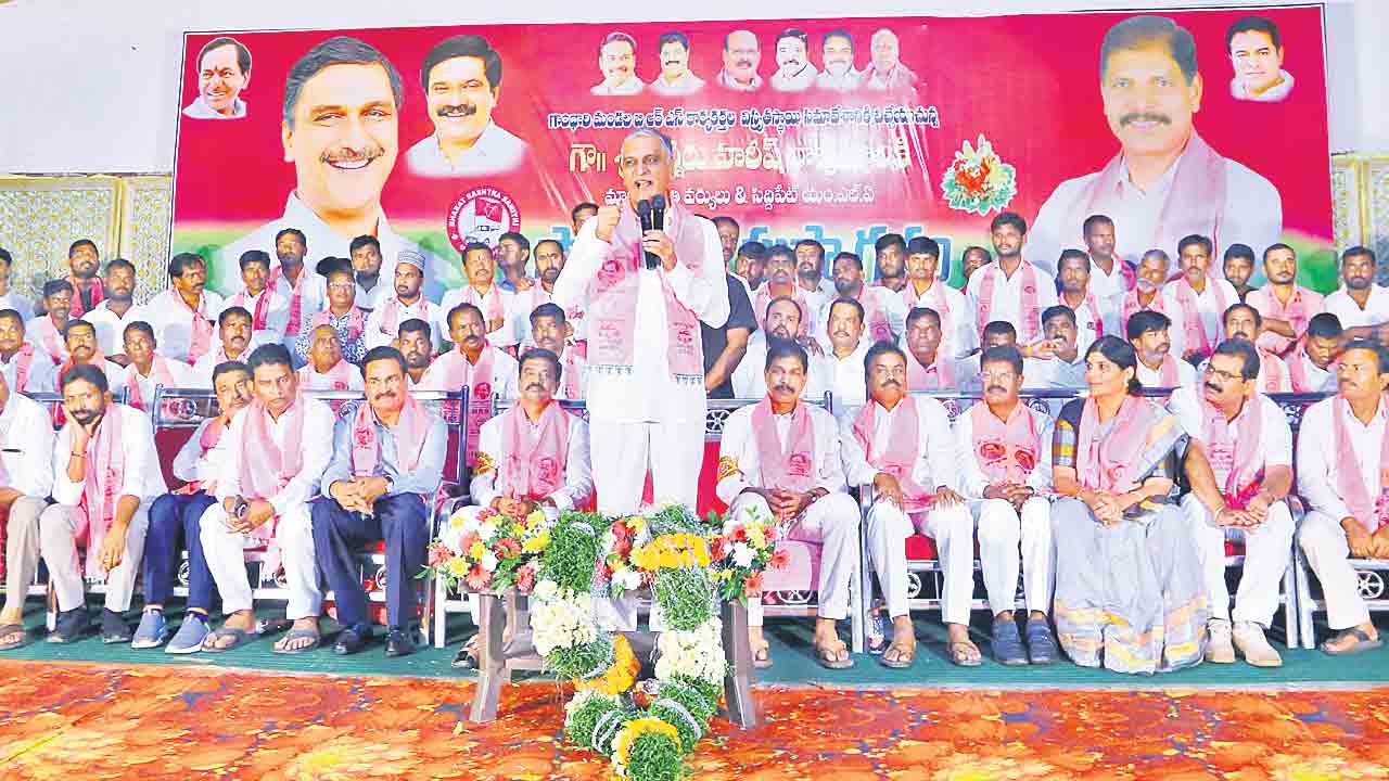 స్థానిక సంస్థల్లో ఎగిరేది గులాబీ జెండానే