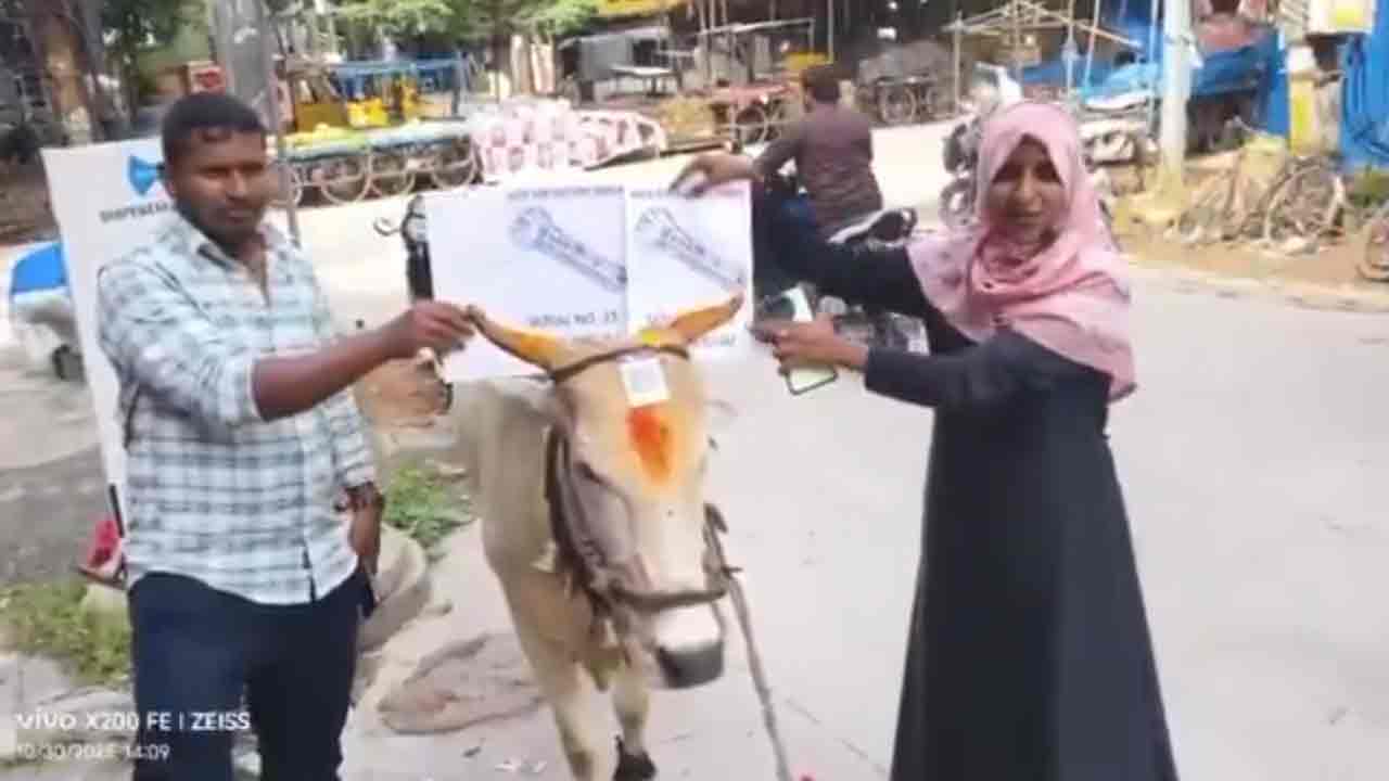 Jubille Hills By Poll | గంగిరెద్దుకైనా ఓటేయండి.. కానీ కాంగ్రెస్‌కు మాత్రం ఓటేయొద్దు.. నిరుద్యోగ యువ‌తి వేడుకోలు