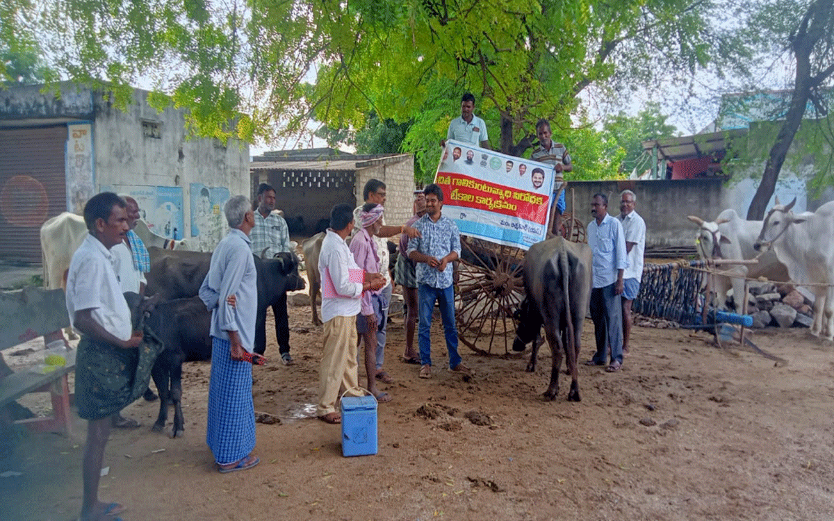 Atmakur.S : ‘పశువులకు గాలికుంటు వ్యాధి నివారణ టీకాలు వేయించాలి’