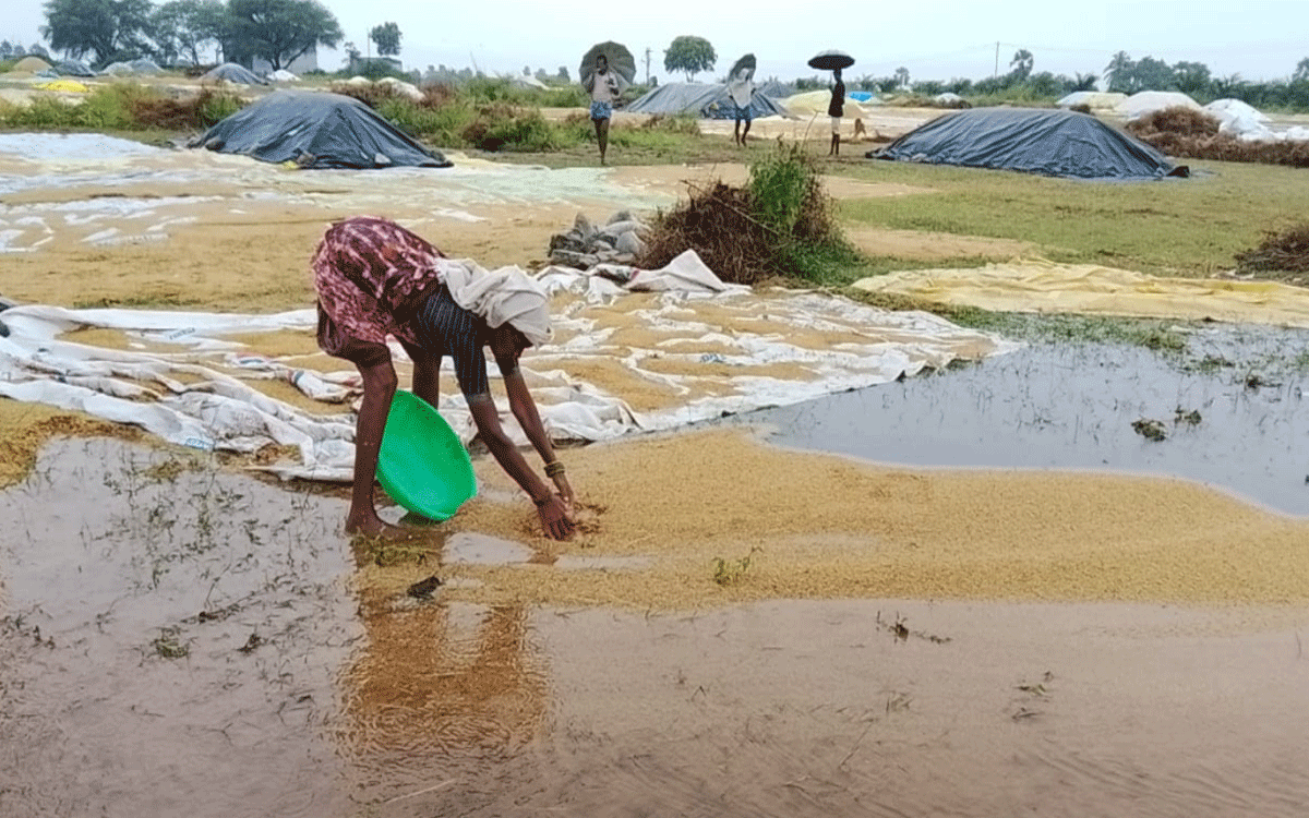 Atmakur (M) : ఆత్మ‌కూర్‌(ఎం)లో భారీ వర్షానికి కొట్టుకుపోయిన వ‌రి ధాన్యం