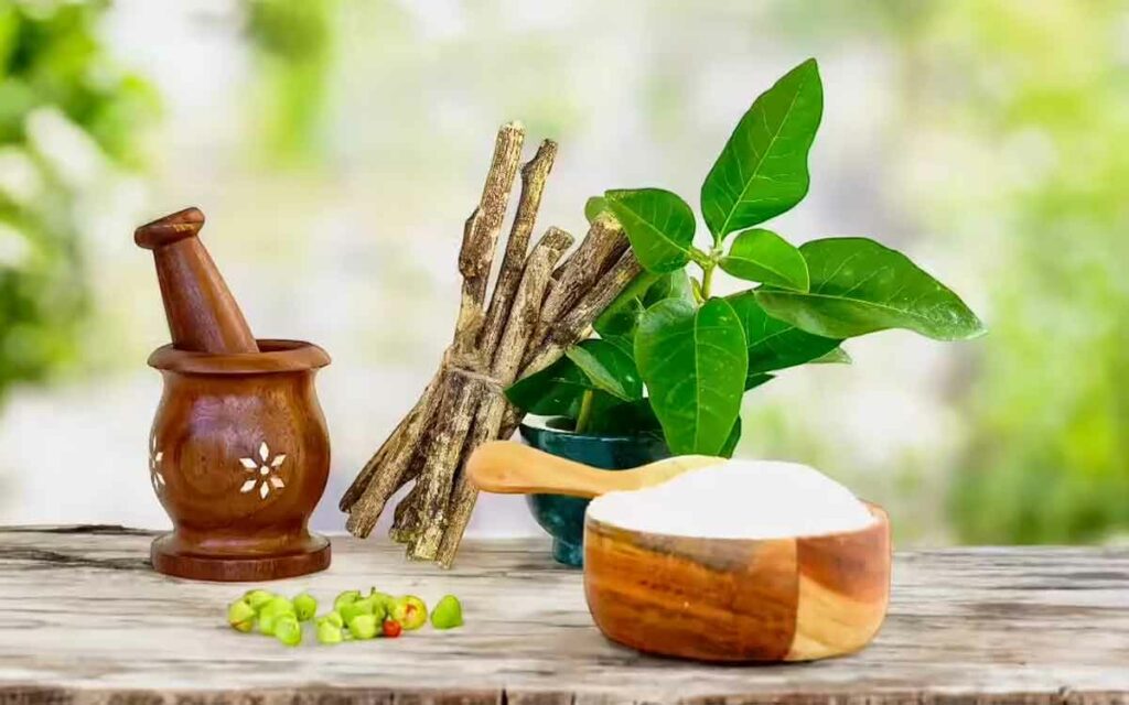 Ayurveda