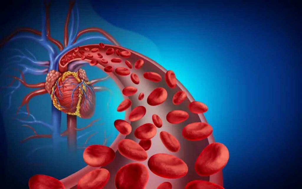 Blood Circulation