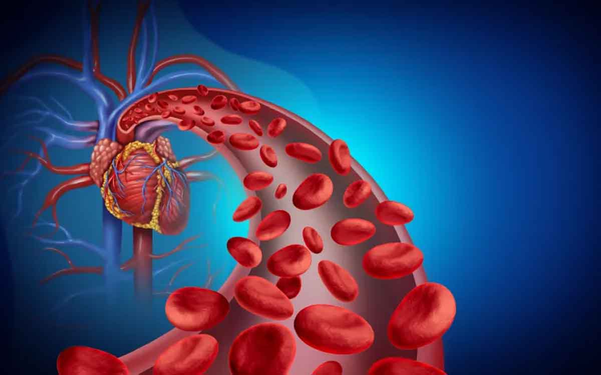 Blood Circulation | శ‌రీరంలో రక్త స‌ర‌ఫ‌రా స‌రిగ్గా లేకపోతే క‌నిపించే ల‌క్ష‌ణాలు ఇవే.. ఈ ఆహారాల‌ను తినాలి..!