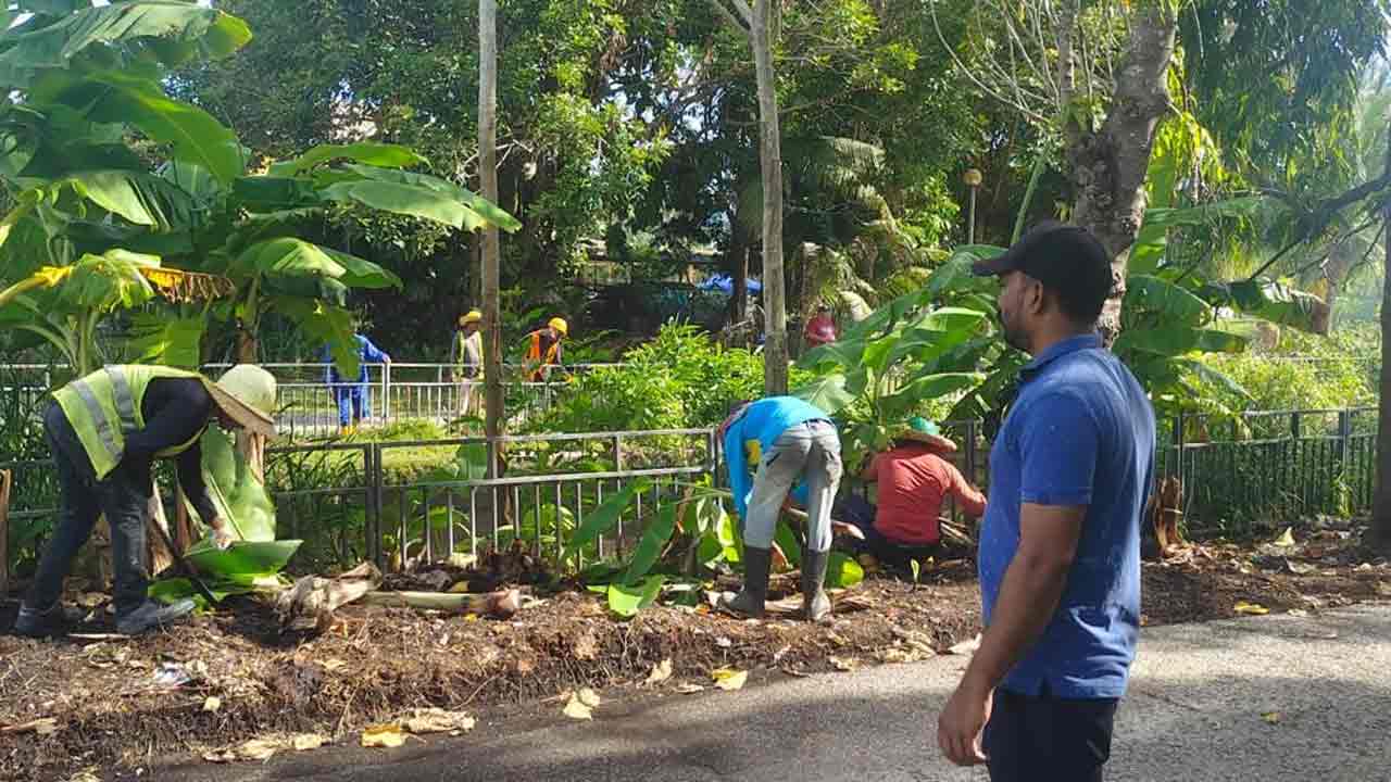 Brunei3