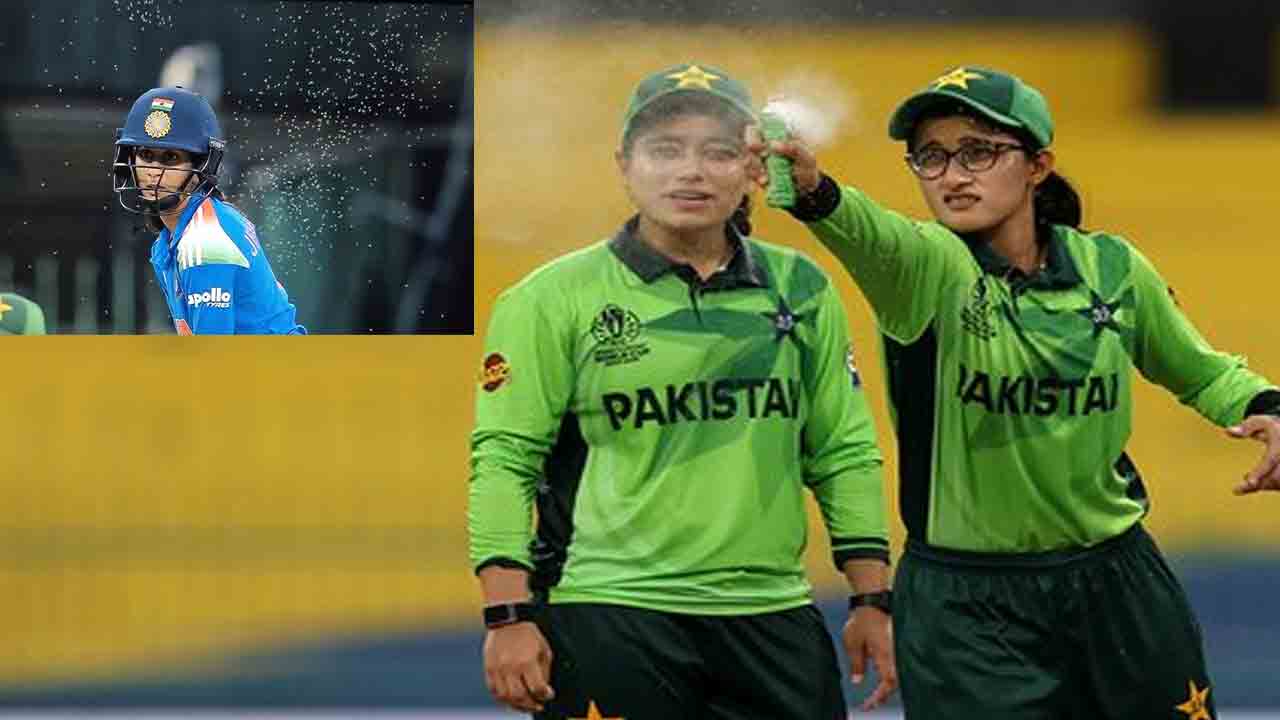 INDW vs PAKW |  మైదానంలో కీటకాల దండు.. భారత్, పాక్ మ్యాచ్‌కు అంతరాయం