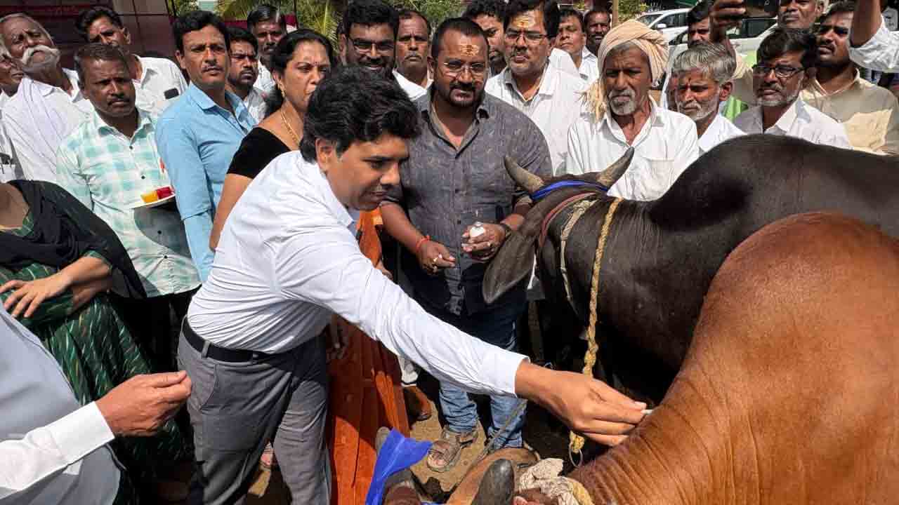 Gali kuntu | పశువులకు గాలికుంటు నివారణ టీకాలు తప్పనిసరి : అదనపు కలెక్టర్ చంద్రశేఖర్
