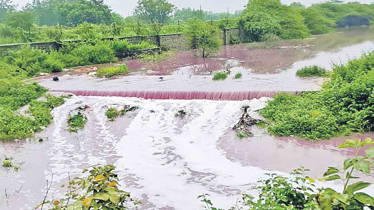 గొలుసుకట్టు చెరువులకు కాటుష్య ముప్పు !
