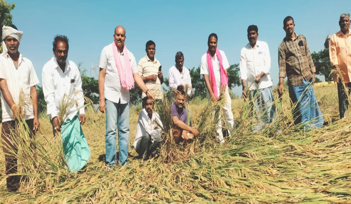 Chigurumamidi | ఎకరానికి రూ.30 వేల నష్టపరిహారం చెల్లించాలి.. బీఆర్ఎస్ నాయకుల డిమాండ్‌