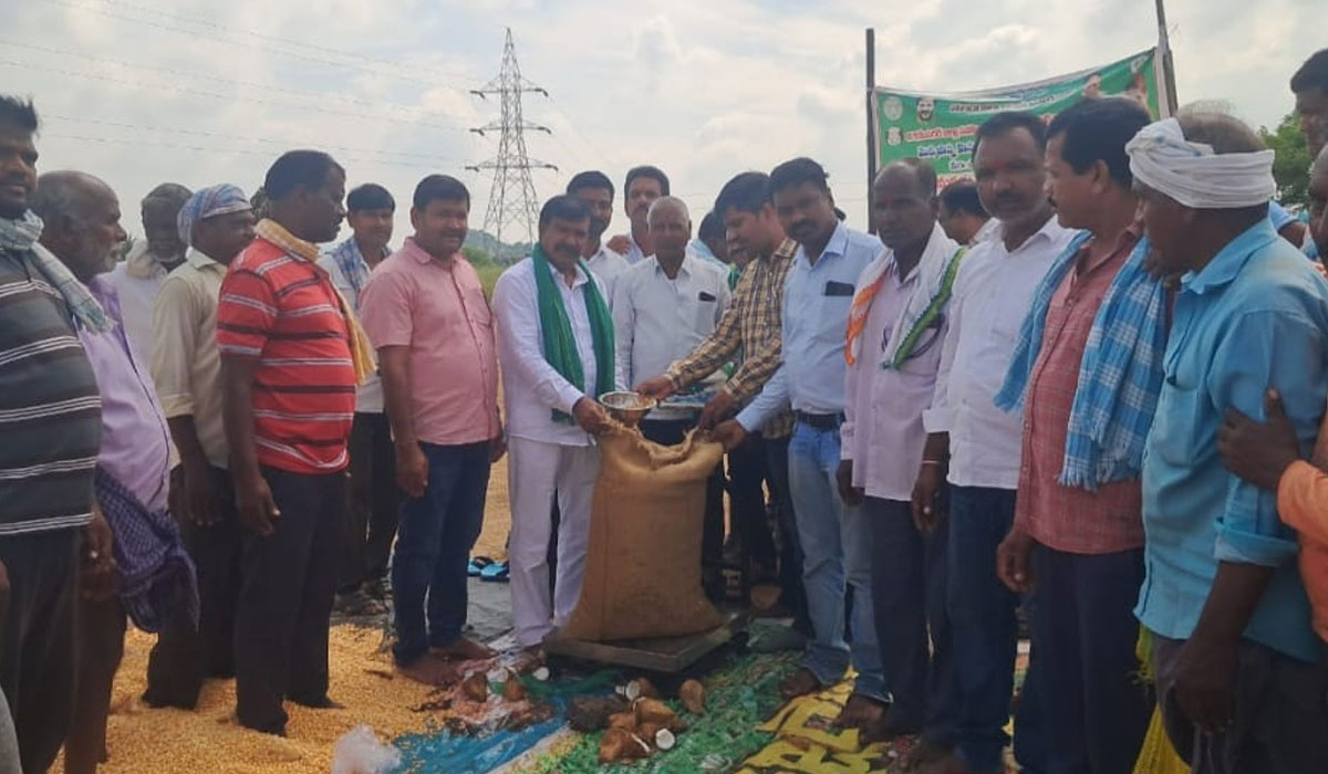 Corn purchasing center | చిగురుమామిడిలో మొక్కజొన్న కొనుగోలు కేంద్రం ప్రారంభం