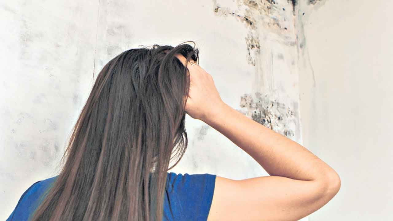 శుభ్రం చేస్తేనే భద్రం