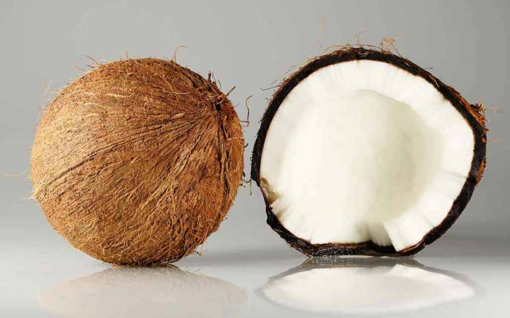 Coconut