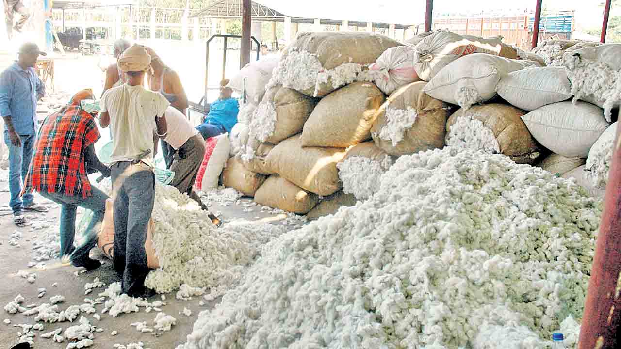 పత్తి కొనుగోలుకు షరతులు వర్తిస్తాయి!