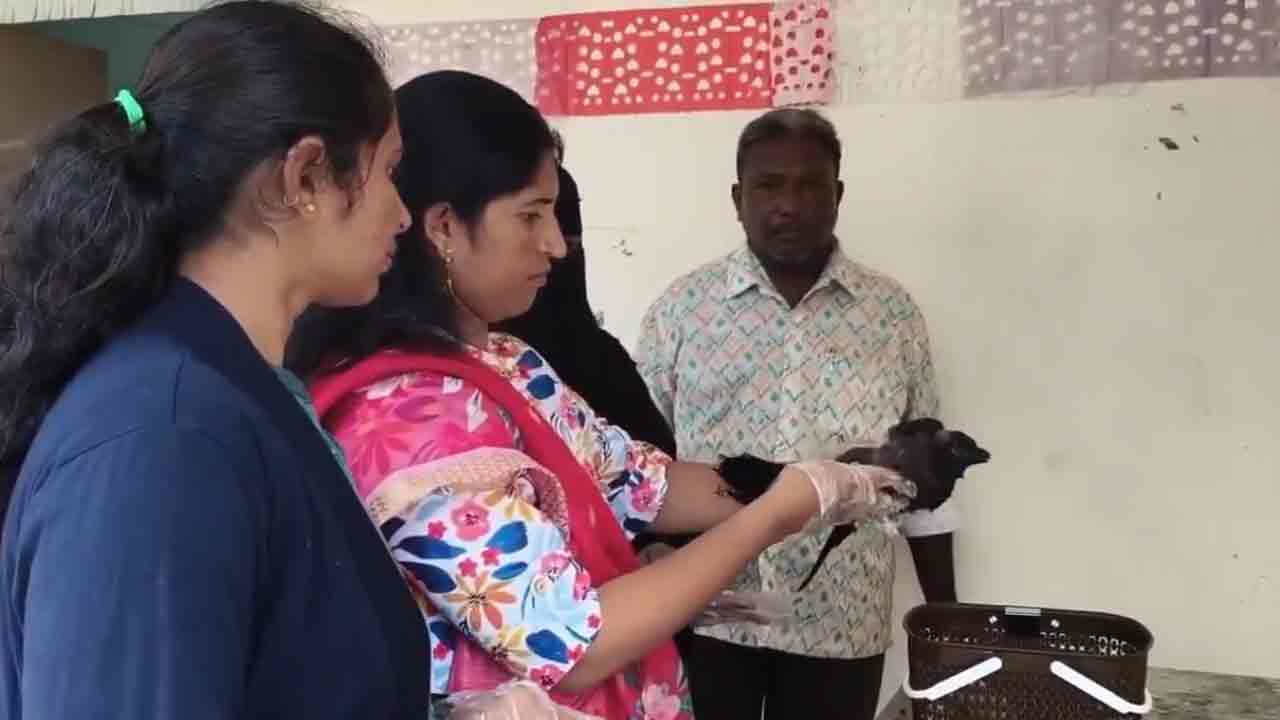 Crow | కుటుంబంలో ఒక్కటైన ‘కాకి’.. నల్గొండ జిల్లాలో వింత ఘటన