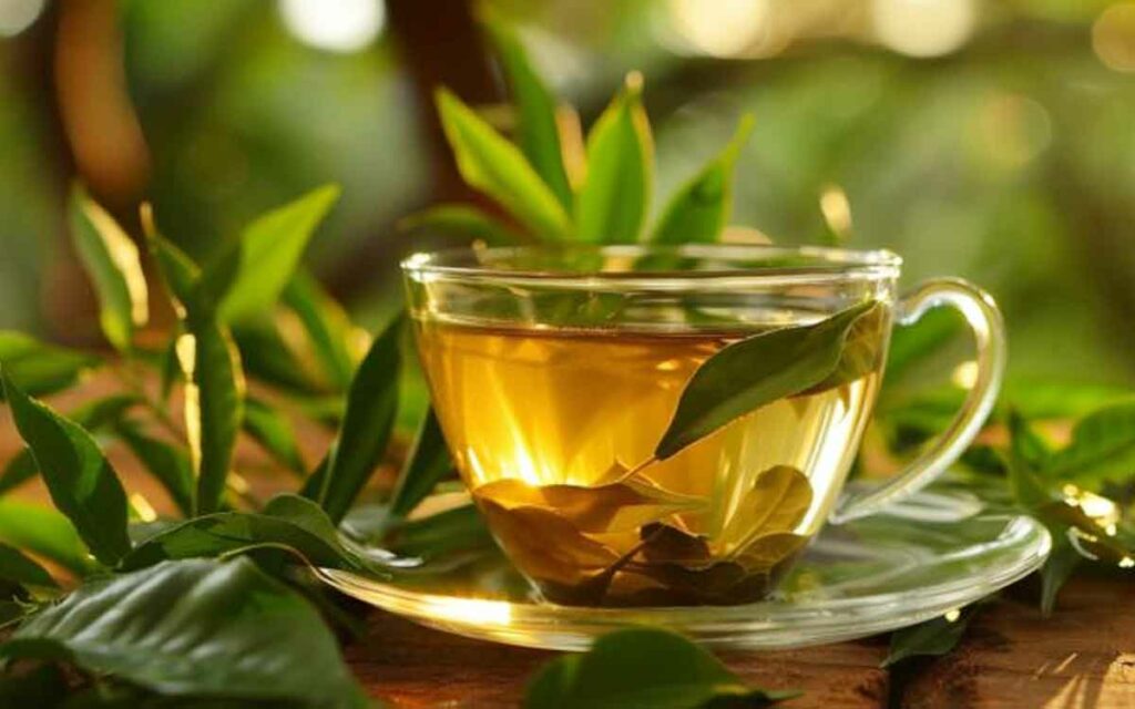 Curry Leaves Tea