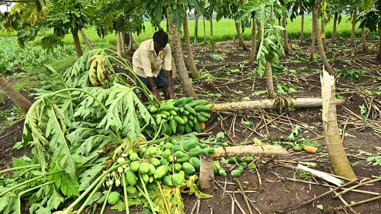 Cyclone Montha | మొంథా తుపాన్ ఎఫెక్ట్.. ఏపీలో18 లక్షల మందిపై ప్రభావం