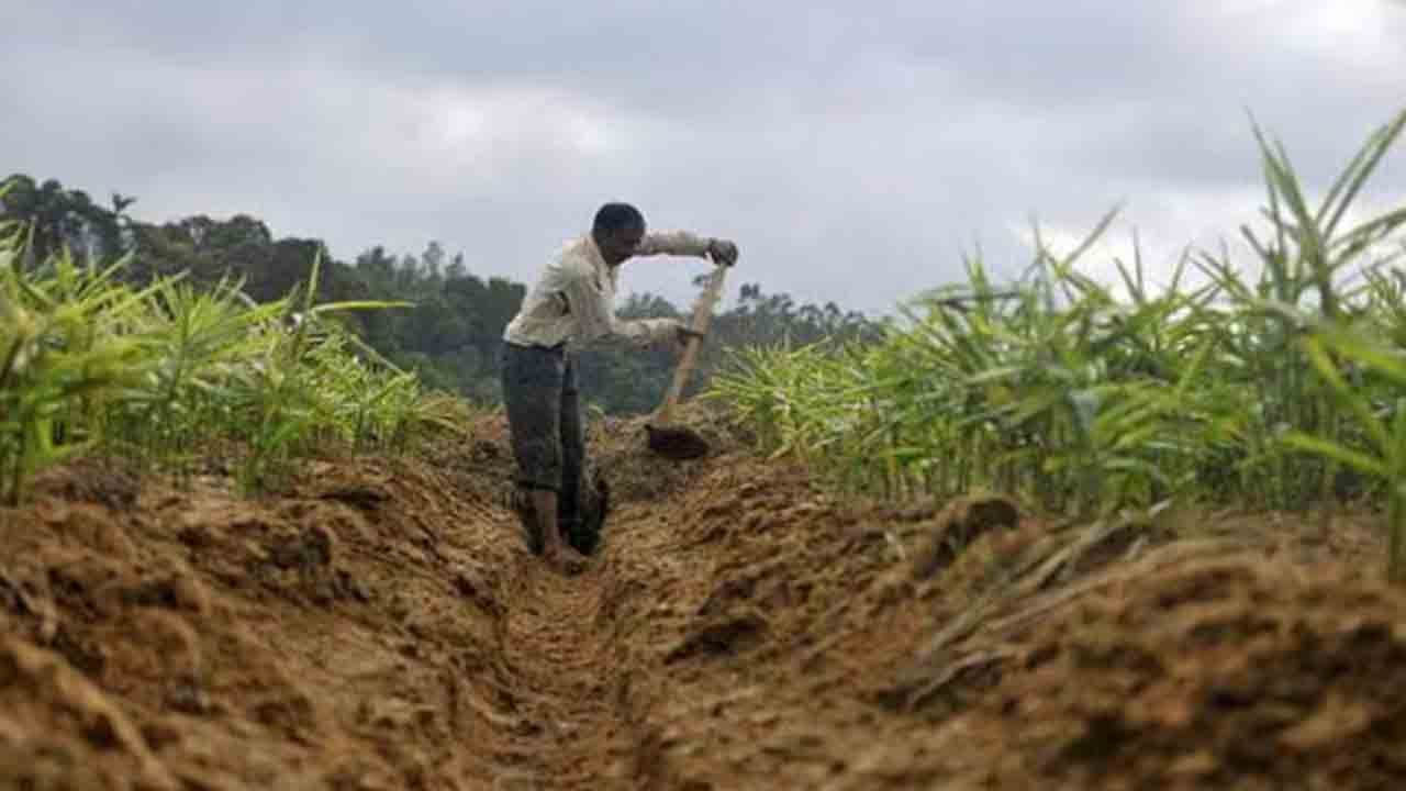 దళితుల భూముల జోలికి రావొద్దు