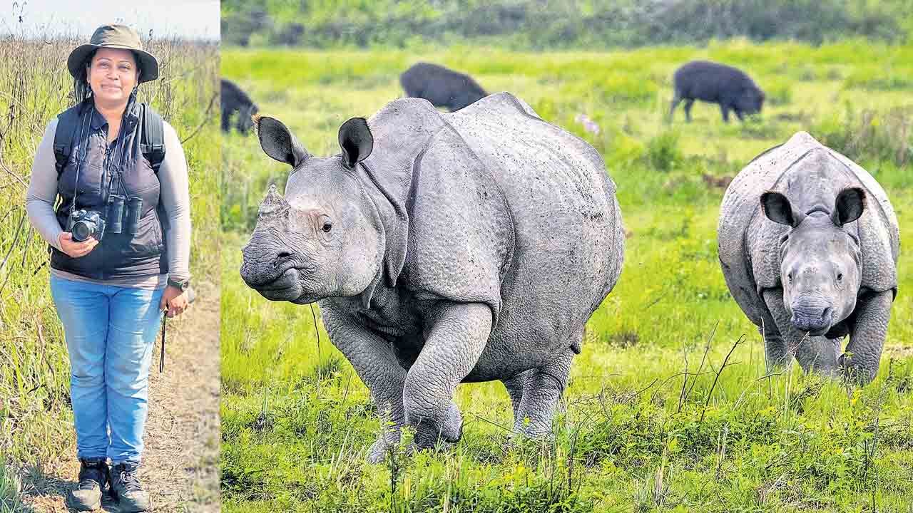 అడవినీ అవార్డునూ గెలిచింది!