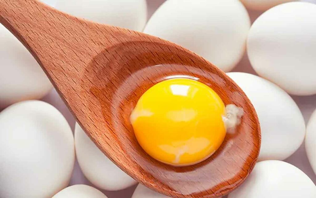 Egg Yolk